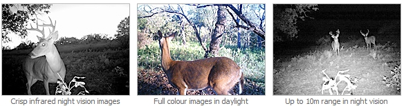 Swan Outback Cam с IR